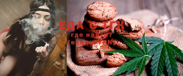 тгк Абаза