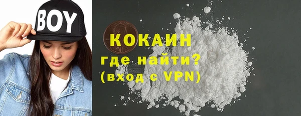 тгк Абаза